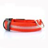 Led Dog Collar - Image 4