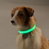 Led Dog Collar - Image 8
