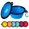 34oz Portable Silicone Foldable Pet Bowll