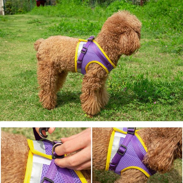 Dog Harness and Leash Set for Walking - Image 7
