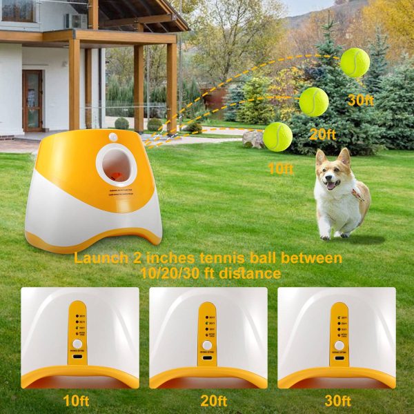 Ball Launcher for Dogs