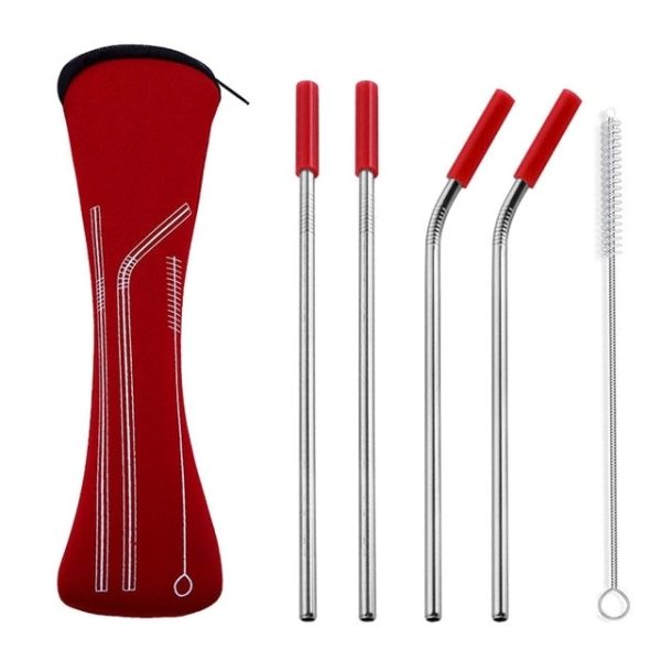 Reusable Stainless Steel Straw With Removable Silicone Tips