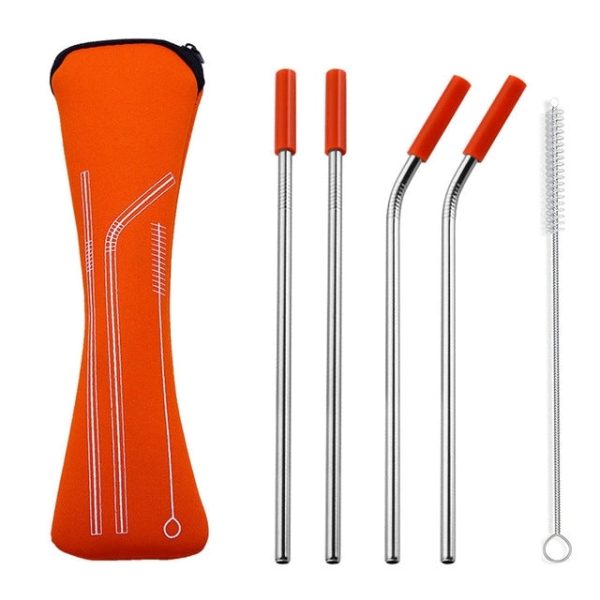 Reusable Stainless Steel Straw With Removable Silicone Tips - Image 5