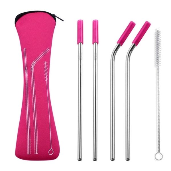Reusable Stainless Steel Straw With Removable Silicone Tips - Image 7