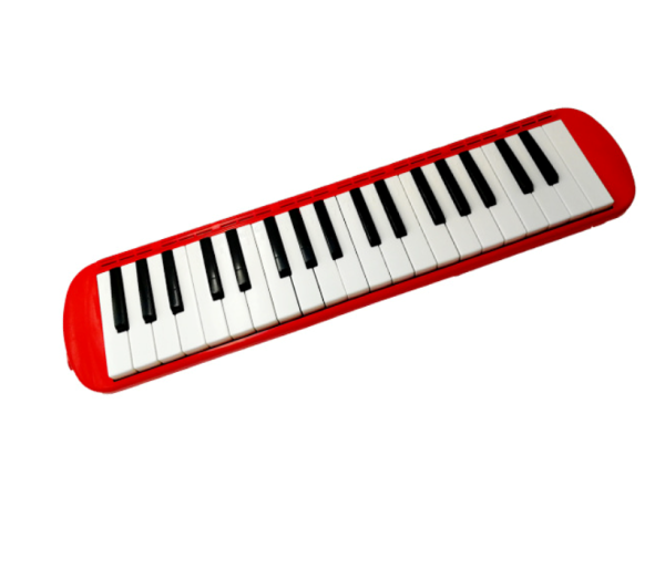 37 Keys with Long Pipe Short Mouthpiece and Carrying Bag - Image 2