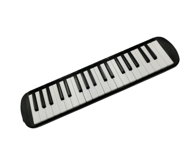 37 Keys with Long Pipe Short Mouthpiece and Carrying Bag - Image 4