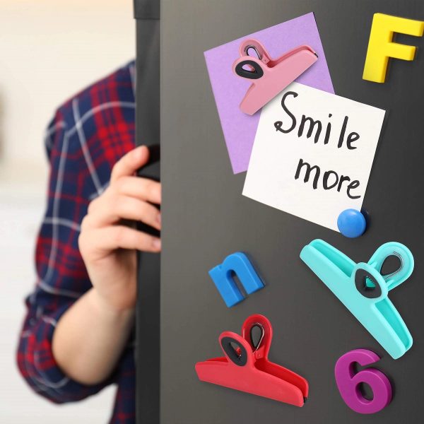 Magnetic Clips