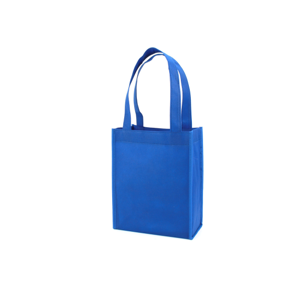 Non-woven Gift Bag