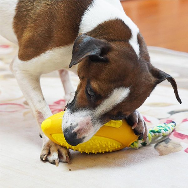 Tpr Puzzle Treat Dog Toys Blue Green Yellow - Image 4