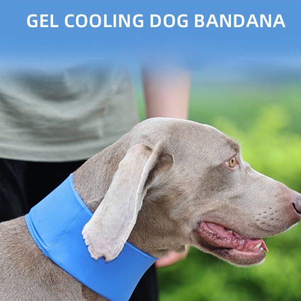 Polyester Dog Cooling Bandana Collar Neck Wraps