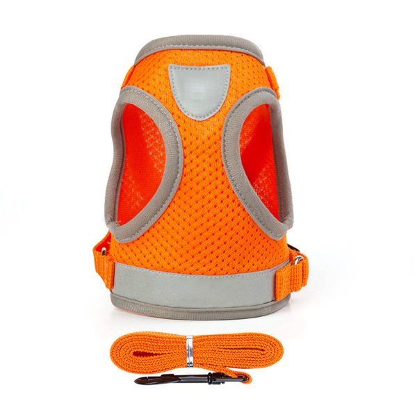 Dog Harness and Leash Set for Walking