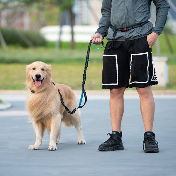 Stretching Dog Leash W/ Waist Bag - Image 7