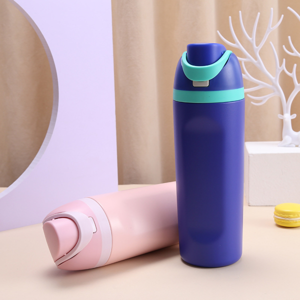 22Oz Insulated Stainless Steel Water Bottle