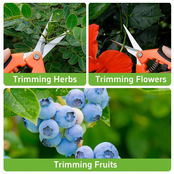 Straight Stainless Steel Blade Gardening Scissors - Image 4
