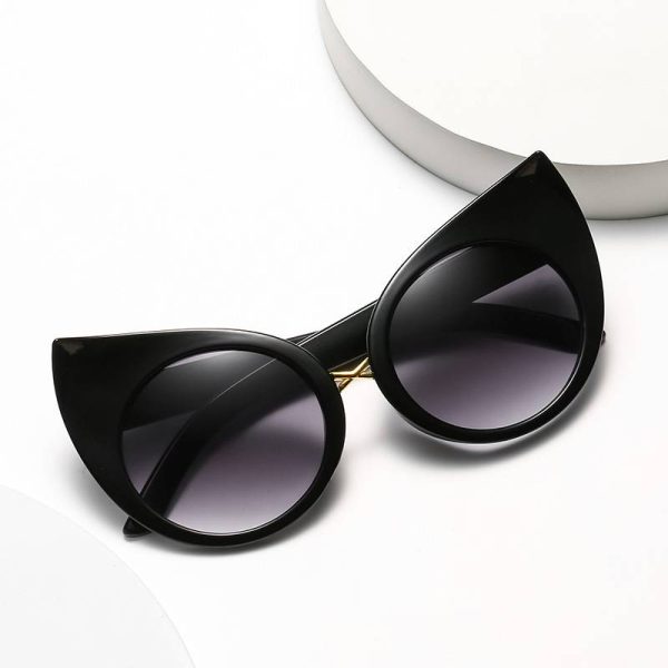 Cat Eye Shaped Sunglasses For Men - Image 3