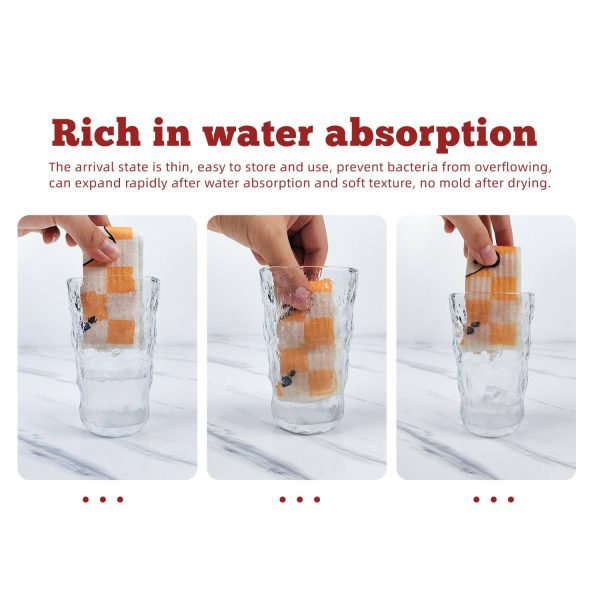 Biodegradable Non-Greasy Wood Pulp Sponge Cloth - Image 9