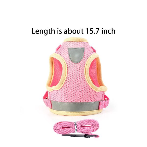 Dog Harness and Leash Set for Walking - Image 6