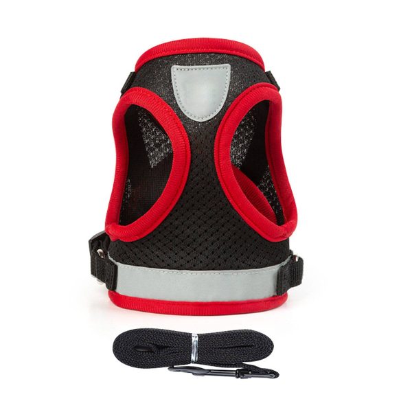 Dog Harness and Leash Set for Walking - Image 2