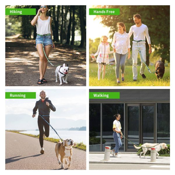Pet leashes - Image 4