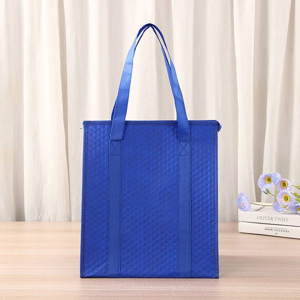 NON Woven Cooler Bag