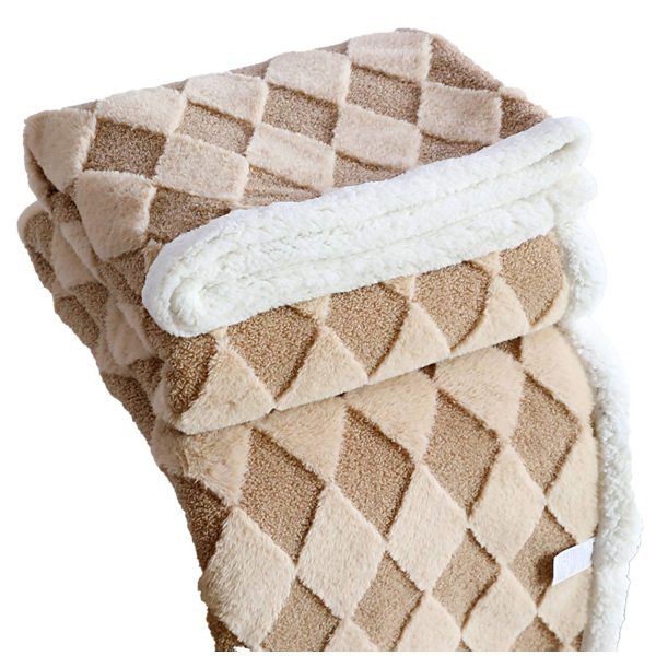 Fade Proof Polyester Double Layer Winter Blanket - Image 7
